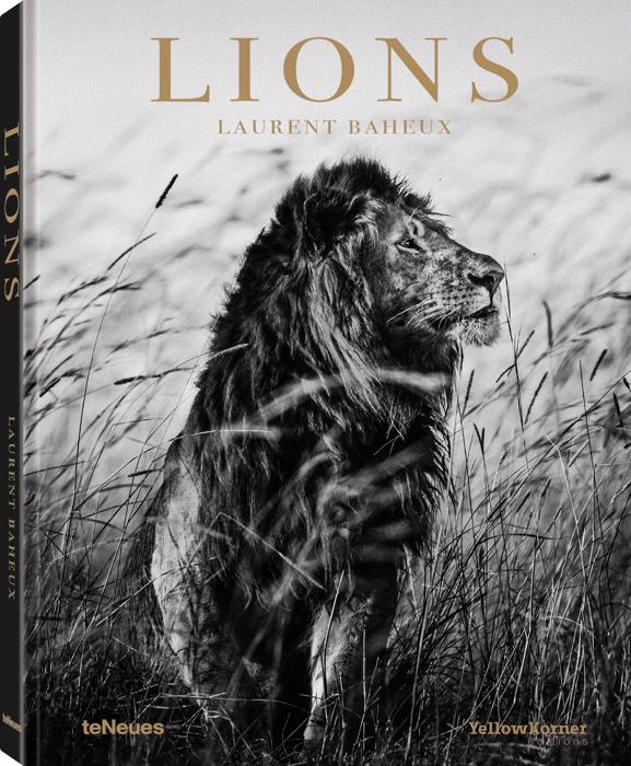 Laurent Baheux, Lions Book